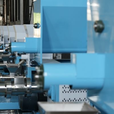 자동차는 380V 가금류 플로팅 생선 식품 기계 작은 사료 과립기 기계를 제어합니다