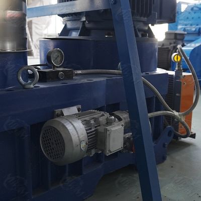 디젤 엔진과 OEM 나무 톱밥 연료 목제 펠릿 성형기 100-4000kg/H