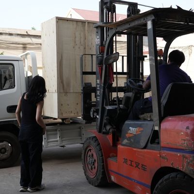 급식 처리를 위한 애완견 고양이 물고기 급식 압출기 동물 급식 펠릿 기계