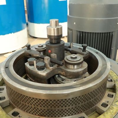 자주개자리 바가스 바이오 연료 플라스틱 펠렛 성형기 5000kg/ Ｈ 2 밀리미터