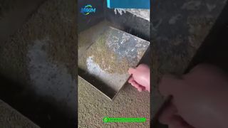 새우 사료 펠렛 밀 | 공장 완제품 생산 데모#피드 펠릿 기계